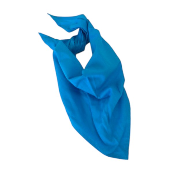 Bandana / Foulard (Bleu)